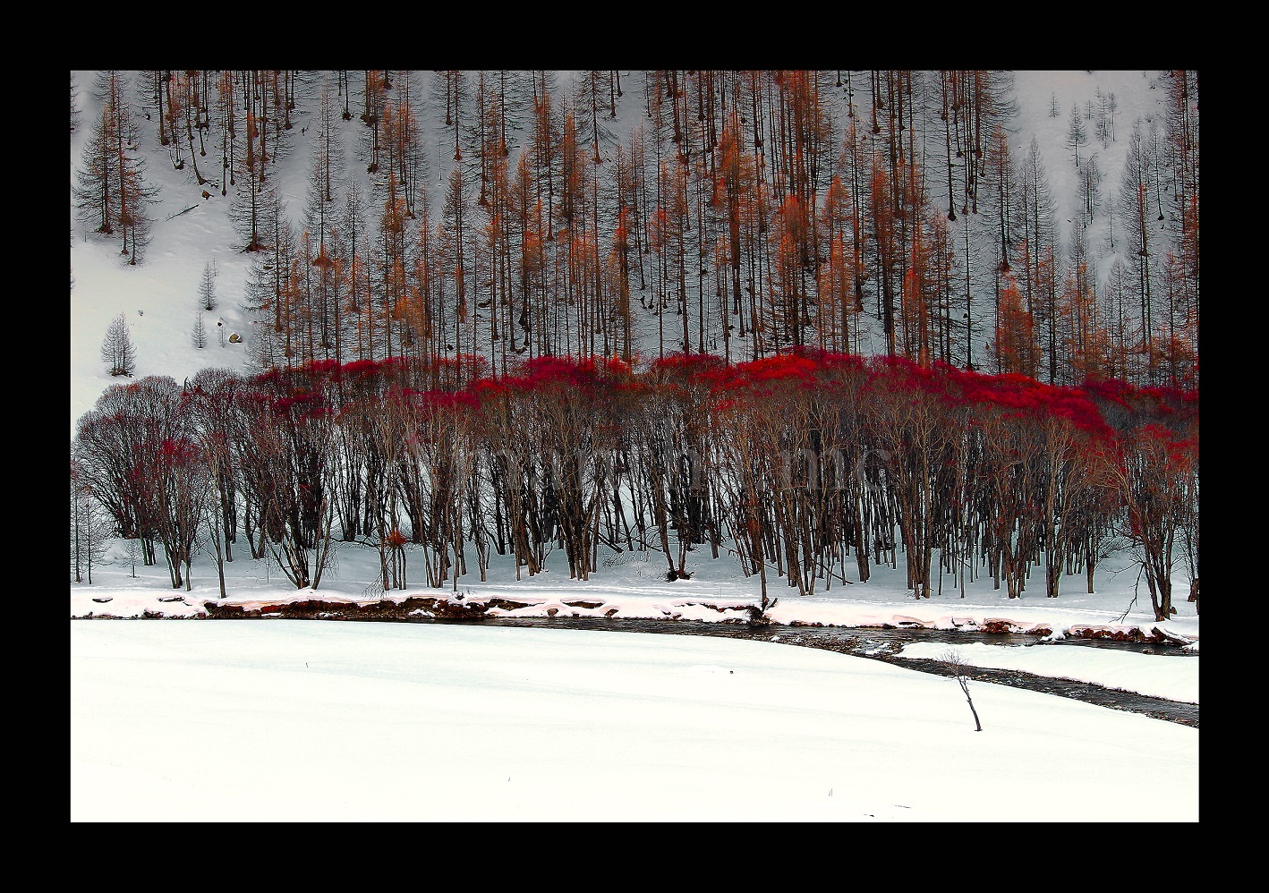 En Rouge et Blanc